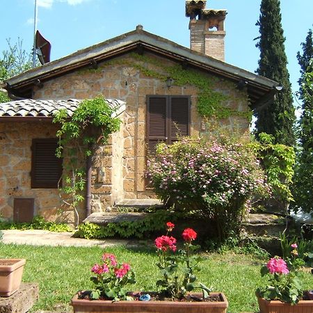 B&B Casaselita Orvieto Extérieur photo