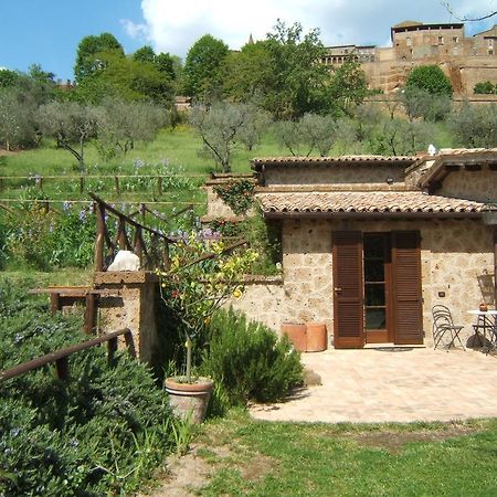 B&B Casaselita Orvieto Extérieur photo