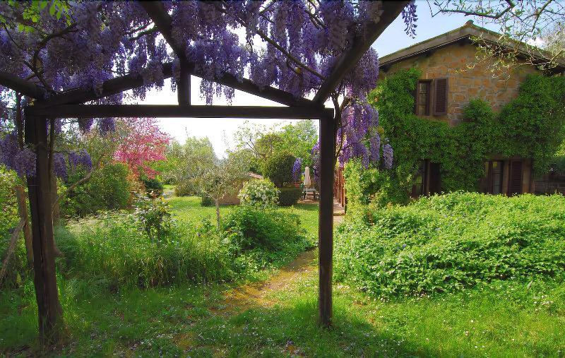 B&B Casaselita Orvieto Extérieur photo
